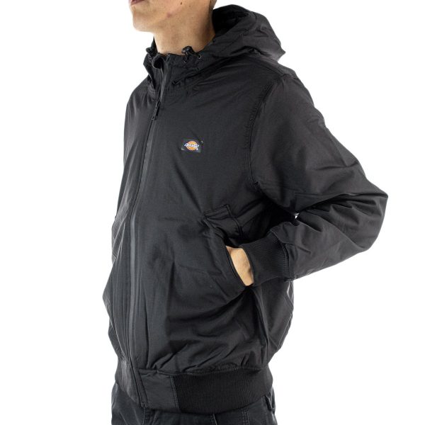 Dickies New Sarpy Winter Jacke DK0A4XG8BLK - schwarz Online-Schn?ppchen – Bild 2